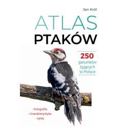 Atlas ptaków - 1