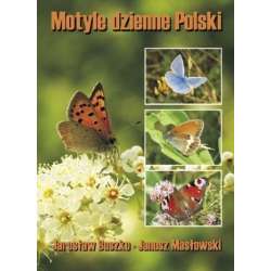 Motyle dzienne Polski TW - 1