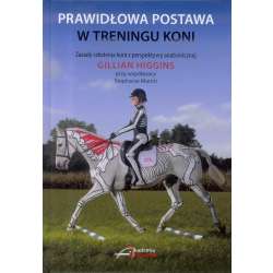 Prawidłowa postawa w treningu koni - 1