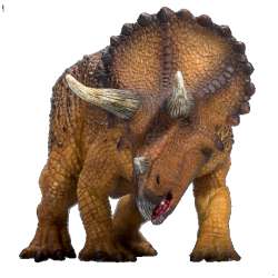 Animal Planet 7364 Triceratops - 5