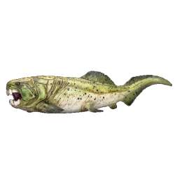 ANIMAL PLANET 7374 Dunkleosteus - 3