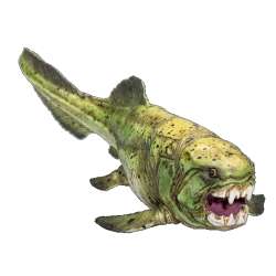 ANIMAL PLANET 7374 Dunkleosteus - 5