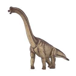 ANIMAL PLANET 7381 deluxe Brachiozaur - 2