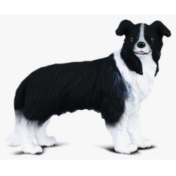 COLLECTA 88010 PIES BORDER COLLIE  rozmiar:M (004-88010) - 1