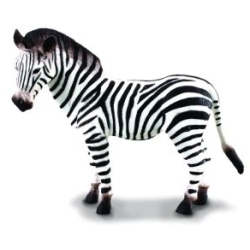 CollectA 88032 Zebra              rozmiar:L (004-88032) - 1
