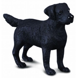 COLLECTA 88076 PIES LABRADOR    ROZMMIAR:M (004-88076) - 1