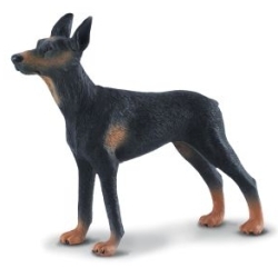 CollectA 88086 Doberman - pies rozmiar:L (004-88086) - 1