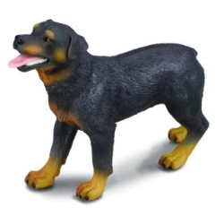 COLLECTA 88189 PIES RASY ROTTWEILER   rozmiar:L (004-88189) - 1