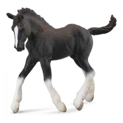 COLLECTA 88583 ŹREBIĘ RASY SHIRE -CZARNE  rozmiar:M (004-88583) - 1