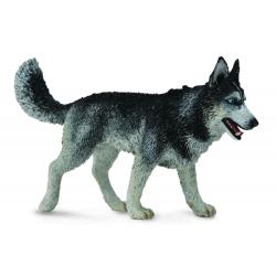 CollectaA 88707 Pies rasy Siberian Husky  10,5x6,2cm r:L (004-88707) - 1