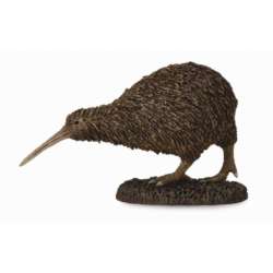 CollectA 88731 Kiwi  rozmiar:M (004-88731) - 1