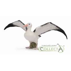 CollectA 88765 Albatros wędrowny,   rozmiar: L (004-88765) - 1