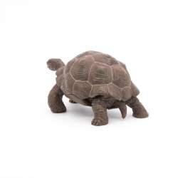 Papo 50161 Żółw z Galapagos  11x6x5,3 cm - 8