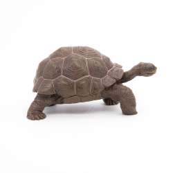 Papo 50161 Żółw z Galapagos  11x6x5,3 cm - 3