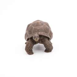 Papo 50161 Żółw z Galapagos  11x6x5,3 cm - 6