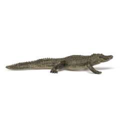 Papo 50254 Aligator   19x6,5x2cm - 2