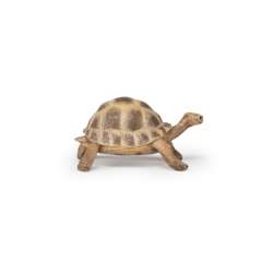 Papo 50264 Żółw Hermana 7,5x5,6x4cm (PAPO 50264) - 3