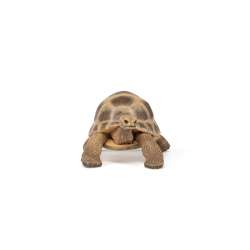 Papo 50264 Żółw Hermana 7,5x5,6x4cm (PAPO 50264) - 5