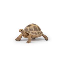 Papo 50264 Żółw Hermana 7,5x5,6x4cm (PAPO 50264) - 6
