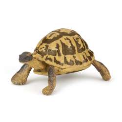 Papo 50264 Żółw Hermana 7,5x5,6x4cm (PAPO 50264) - 1
