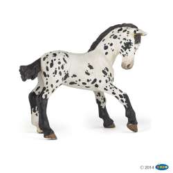 Papo Źrebię rasy appaloosa   10x5x8cm (51540) - 1