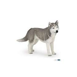 Papo 54035 Husky syberyjski  11x2x6cm (PAPO 54035) - 2