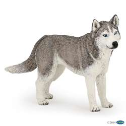 Papo 54035 Husky syberyjski  11x2x6cm (PAPO 54035) - 1