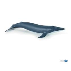 Papo 56041 młody Płetwal błękitny  10x9,5x3,5cm - 1