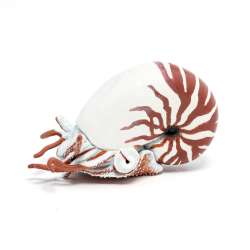 Papo 56061 Nautilus (PAPO 56061) - 1