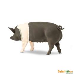 Safari Ltd 161829 świnia rasy Hampshire  11x5cm - 2