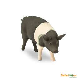 Safari Ltd 161829 świnia rasy Hampshire  11x5cm - 3