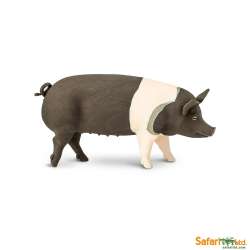 Safari Ltd 161829 świnia rasy Hampshire  11x5cm - 1