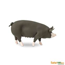 Safari Ltd 161929 Świnia rasy Berkshire  11x5cm - 2