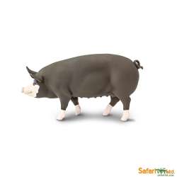 Safari Ltd 161929 Świnia rasy Berkshire  11x5cm - 1