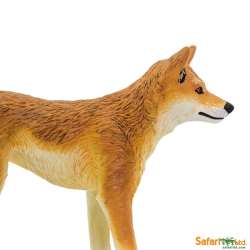 Safari Ltd 228229 Dingo  10x6,5cm - 3