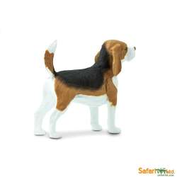 Safari Ltd 254929 Pies rasy Beagle  6,5x4,5cm - 2