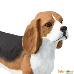 Safari Ltd 254929 Pies rasy Beagle  6,5x4,5cm - 4