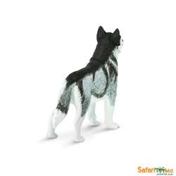 Safari Ltd 255229 Husky syberyjski  8,25x6,5cm - 3