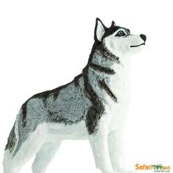 Safari Ltd 255229 Husky syberyjski  8,25x6,5cm - 4