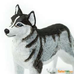 Safari Ltd 255229 Husky syberyjski  8,25x6,5cm - 5