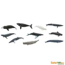 Safari Ltd 100072 Wieloryby w tubie  od 3,25 do 9,5cm - 2