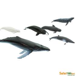 Safari Ltd 100072 Wieloryby w tubie  od 3,25 do 9,5cm - 4