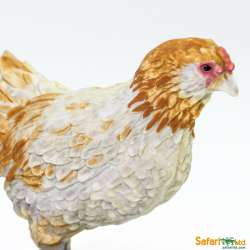 Safari Ltd 100090 Kura Ameraucana  6x2,5x4,5cm - 5