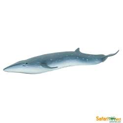 Safari Ltd 100098 Płetwal czerniakowy 19,5x7,5x3cm - 1