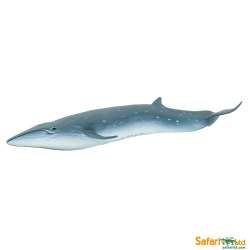 Safari Ltd 100098 Płetwal czerniakowy 19,5x7,5x3cm - 1