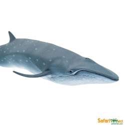 Safari Ltd 100098 Płetwal czerniakowy 19,5x7,5x3cm - 8
