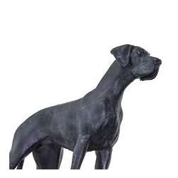 Safari Ltd 100204 Dog niemiecki  12x3,9x9,5cm - 3