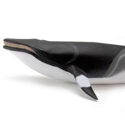 Safari Ltd 100413 Płetwal karłowaty   18x7x3,5cm - 5