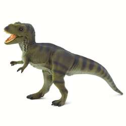 Safari Ltd 100423 Tyrannosaurus Rex   17x11cm - 4