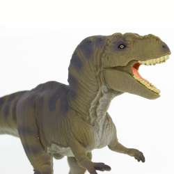 Safari Ltd 100423 Tyrannosaurus Rex   17x11cm - 3